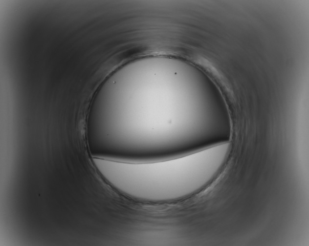 X0000088661185200705250956