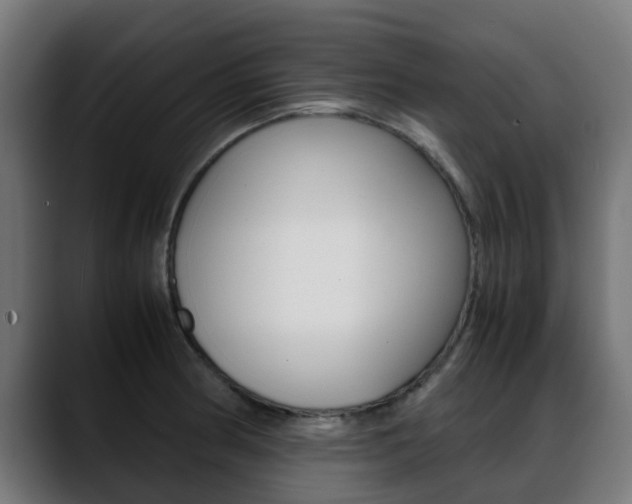 X0000088661186200705250956