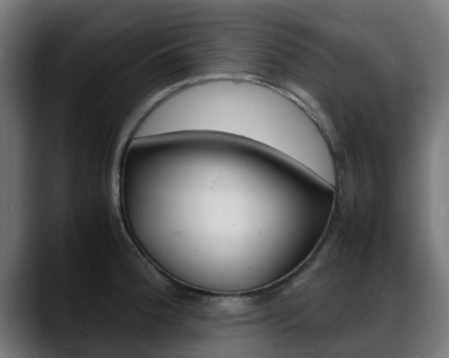 X0000088661188200705250956