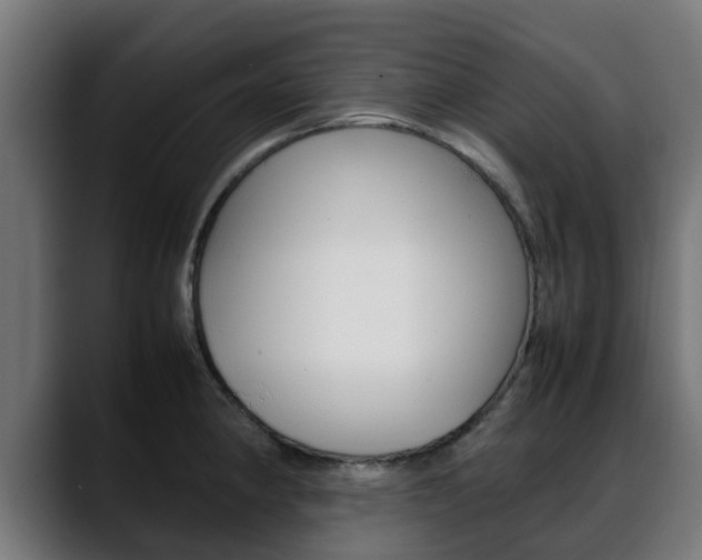 X0000088661190200705250956