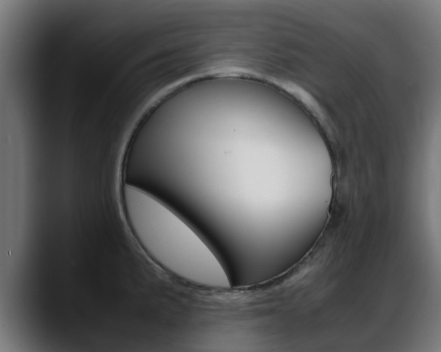 X0000088661191200705250955