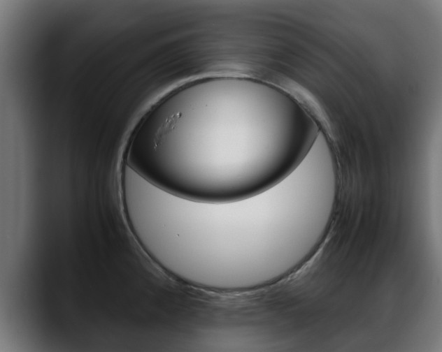 X0000088661192200705250955