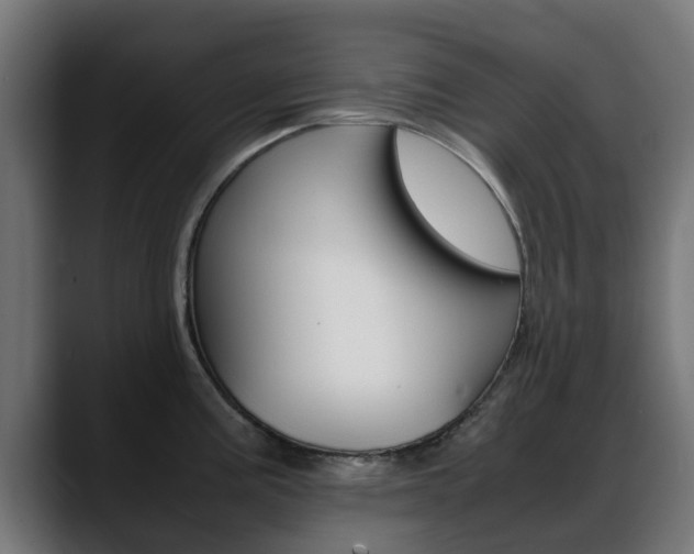 X0000088661195200705250955