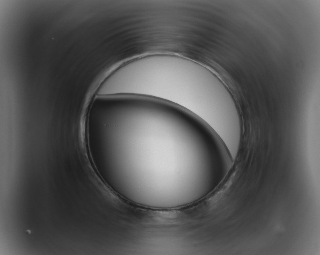 X0000088661196200705250955