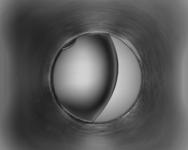 X0000088661197200705250955