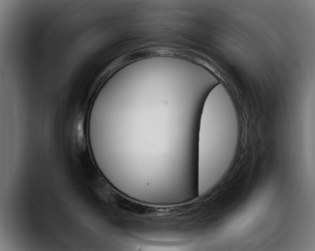 X0000088661198200705250955