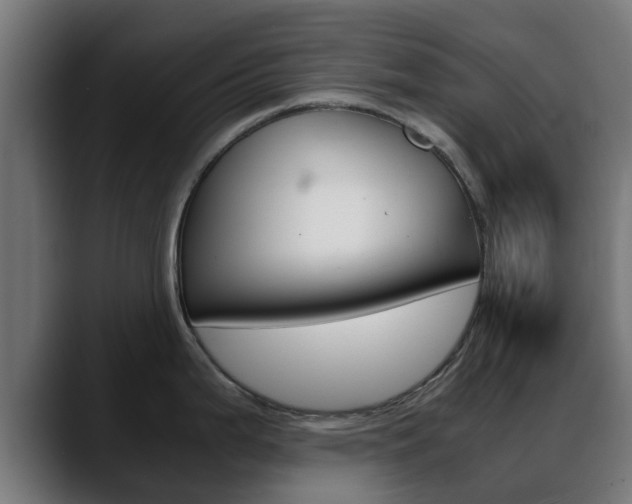 X0000088661199200705250955