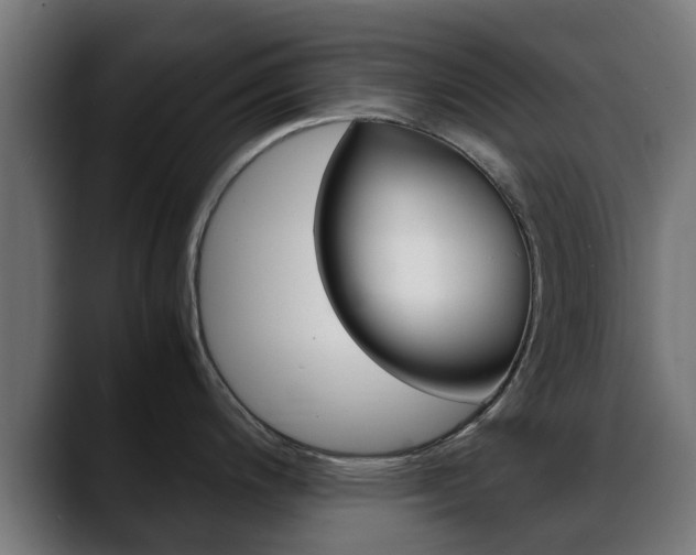 X0000088661200200705250955