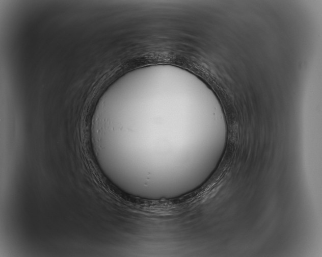 X0000088661201200705250955