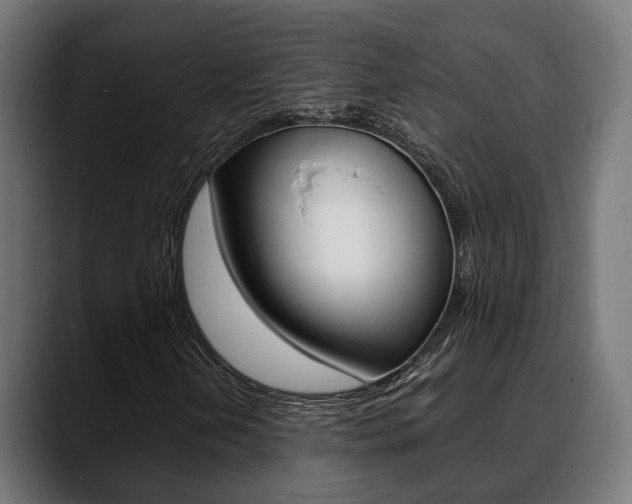 X0000088661202200705250955