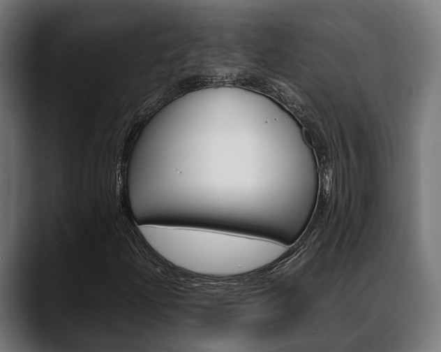 X0000088661204200705250955