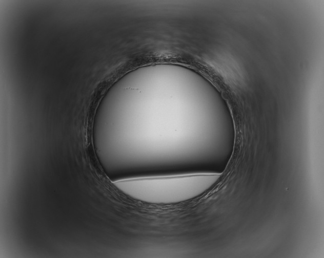 X0000088661205200705250955