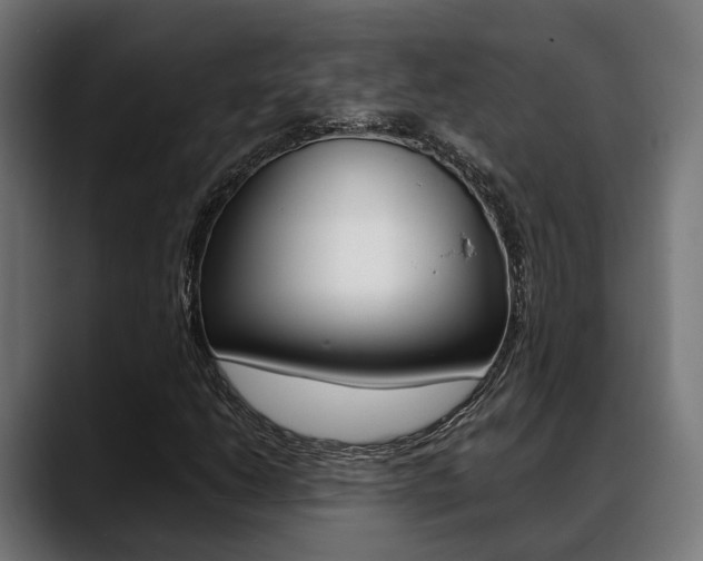 X0000088661206200705250955