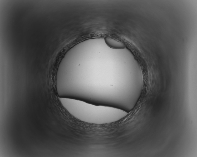 X0000088661207200705250955
