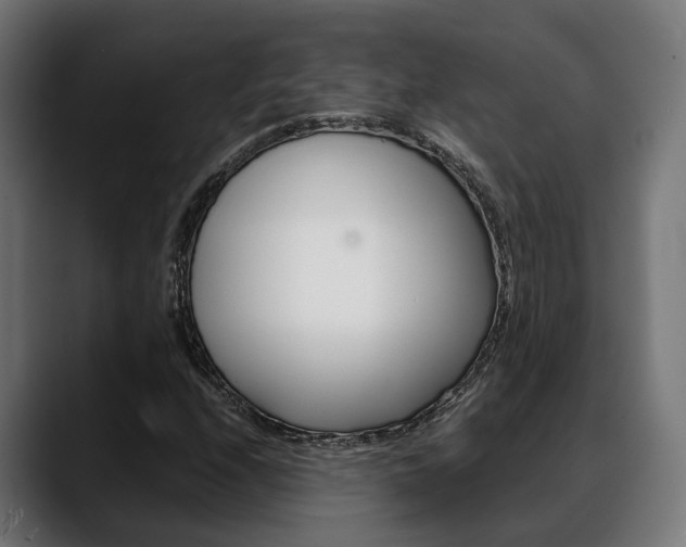 X0000088661208200705250955