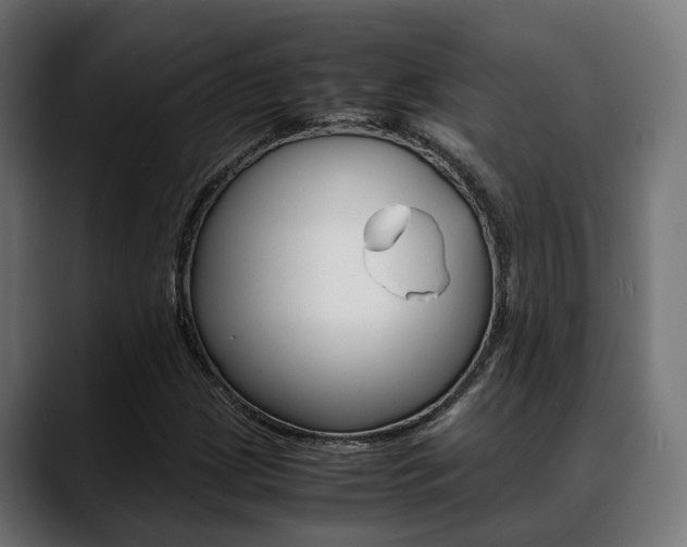 X0000088661209200705250955