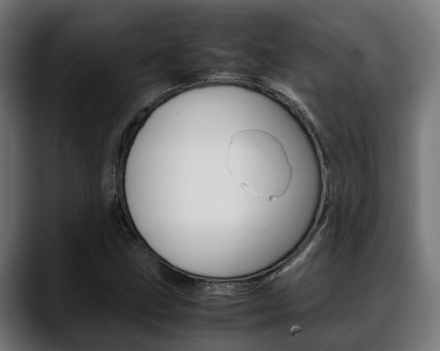 X0000088661211200705250955