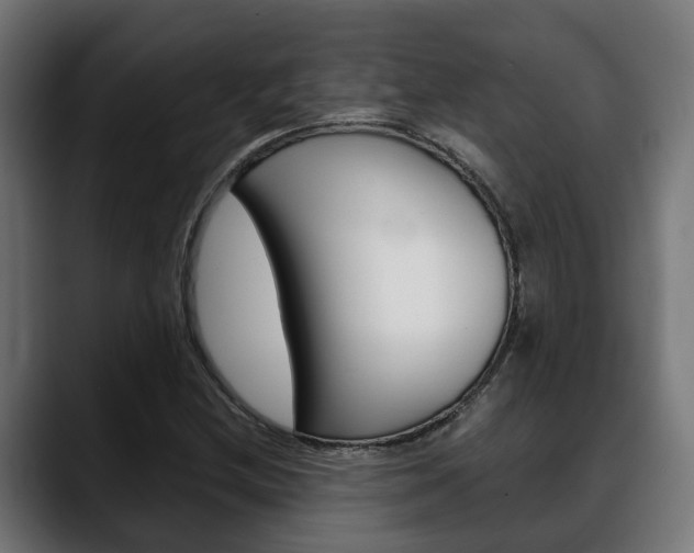 X0000088661212200705250955