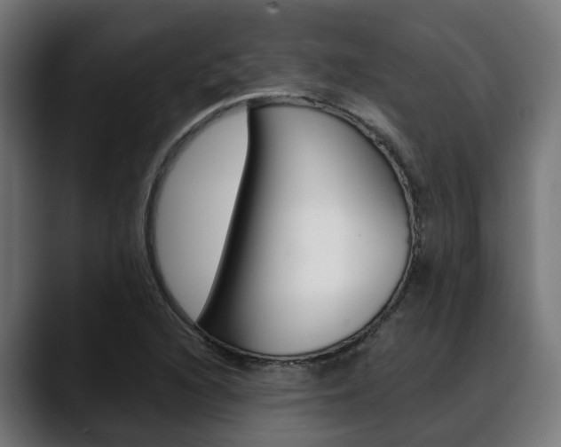 X0000088661216200705250955