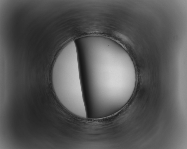 X0000088661217200705250955