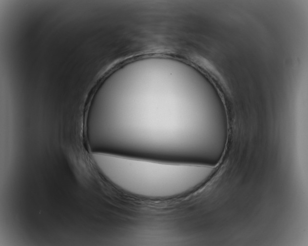 X0000088661220200705250955