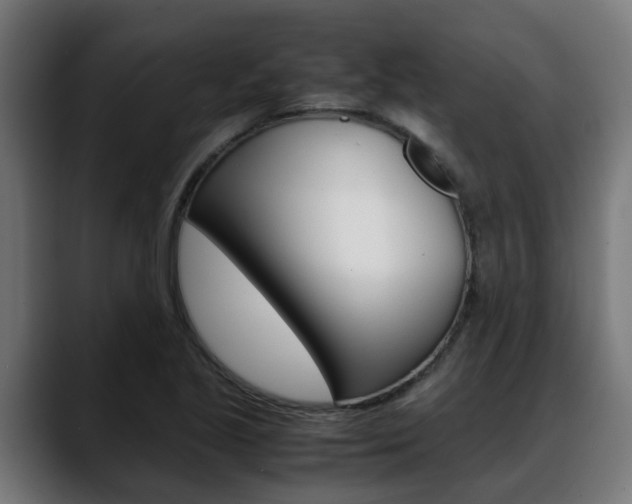 X0000088661221200705250955
