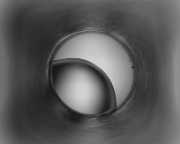 X0000088661222200705250955