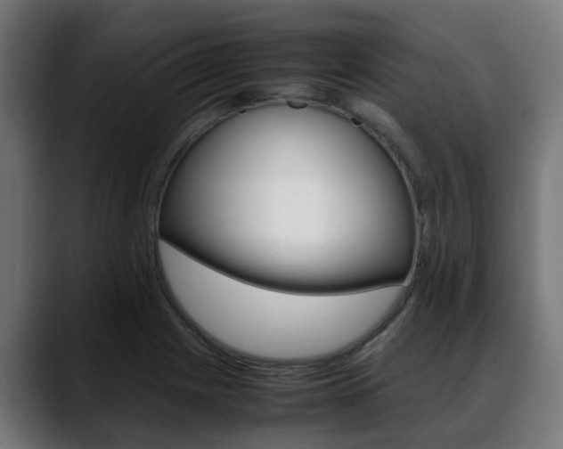 X0000088661225200705250955