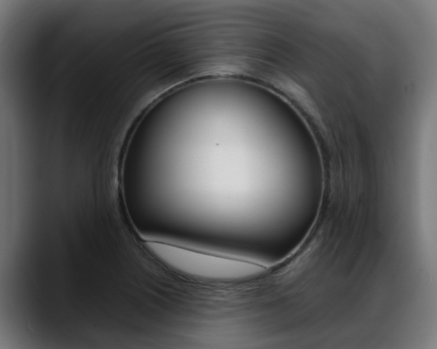 X0000088661226200705250955