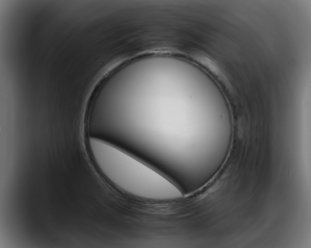 X0000088661229200705250955