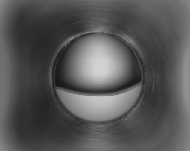 X0000088661230200705250955