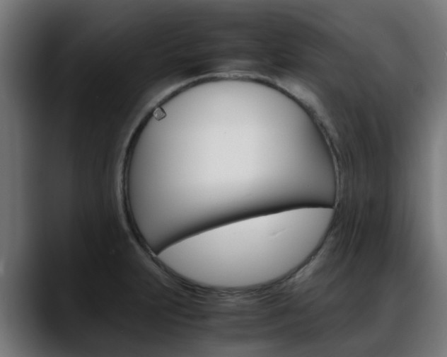 X0000088661231200705250955