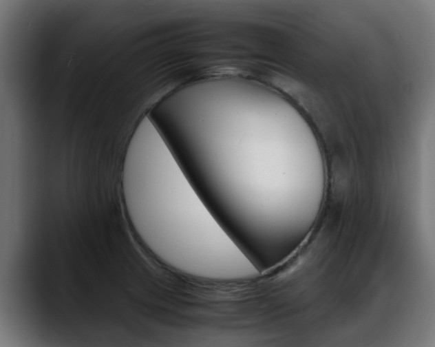X0000088661233200705250955