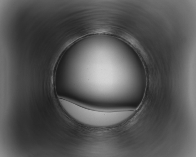 X0000088661234200705250955