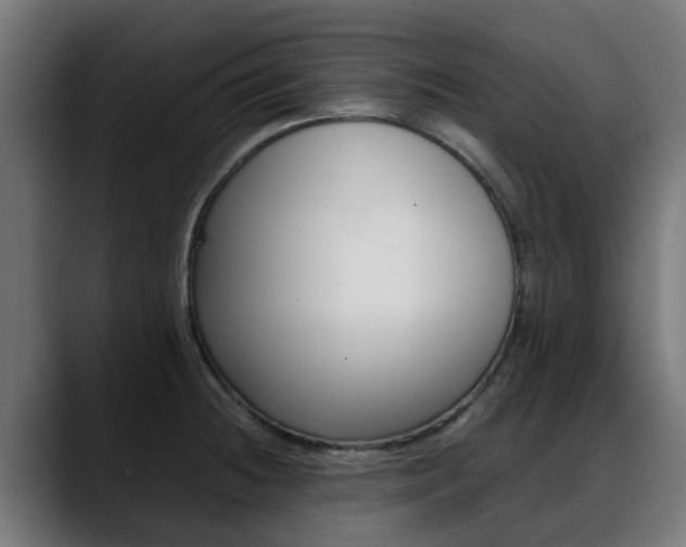 X0000088661236200705250955