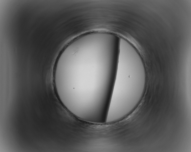 X0000088661240200705250955