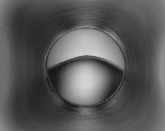 X0000088661242200705250955