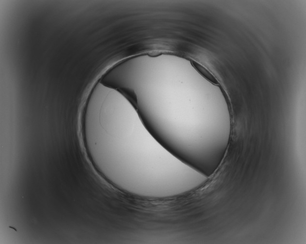 X0000088661243200705250955