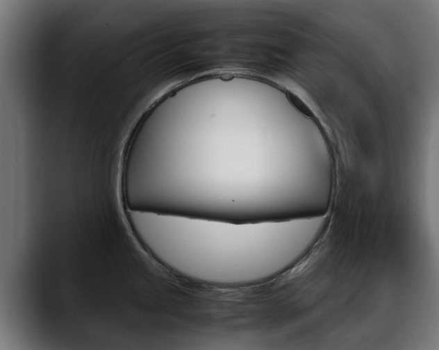 X0000088661245200705250955