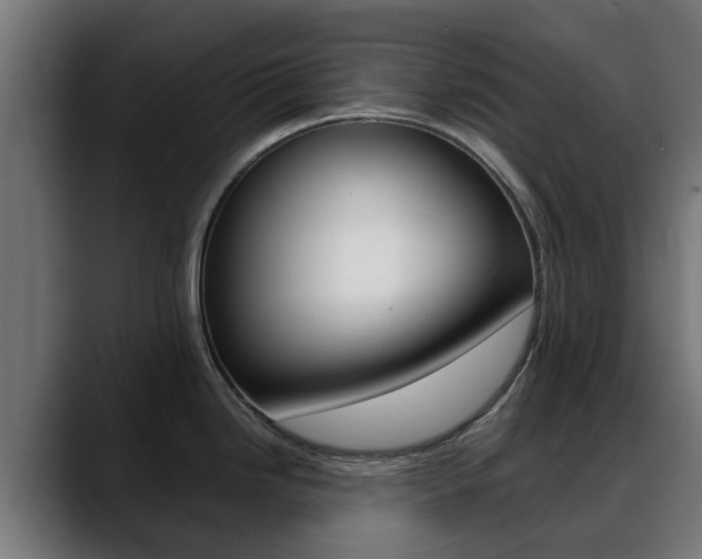 X0000088661246200705250955