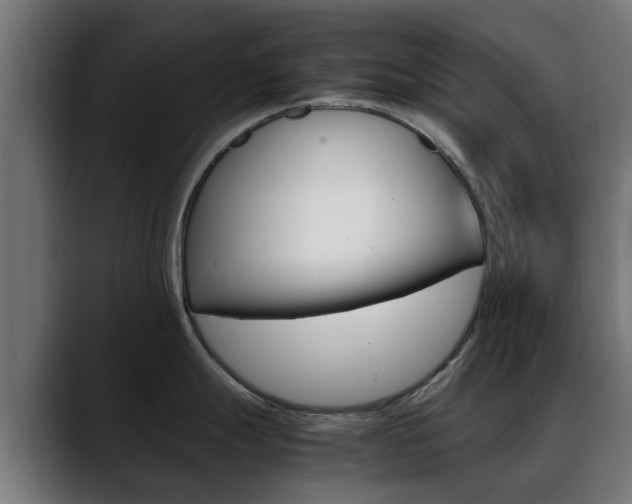 X0000088661247200705250955