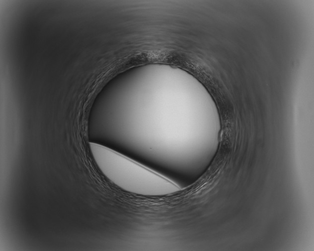 X0000088661249200705250955