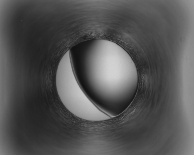 X0000088661250200705250955