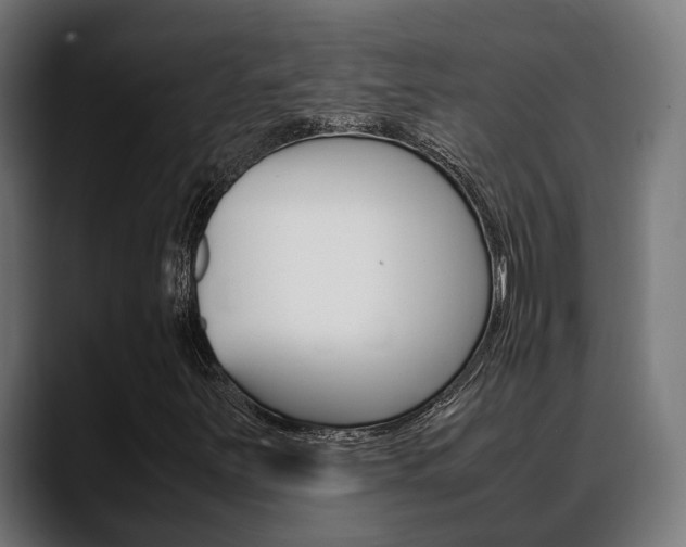 X0000088661251200705250955