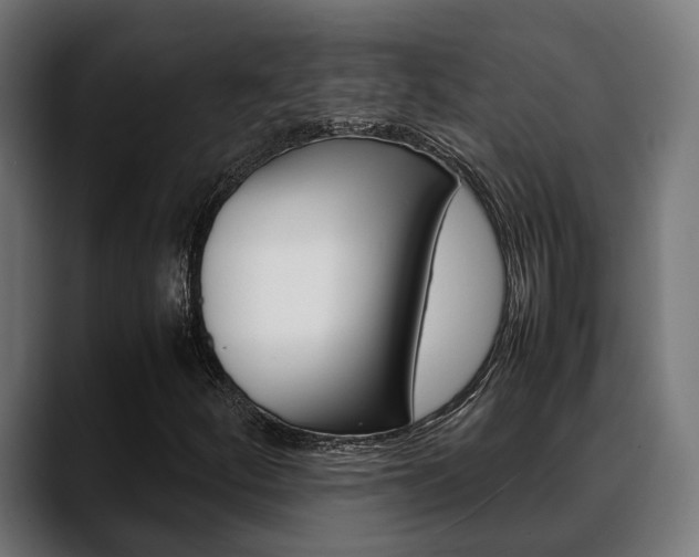 X0000088661252200705250955