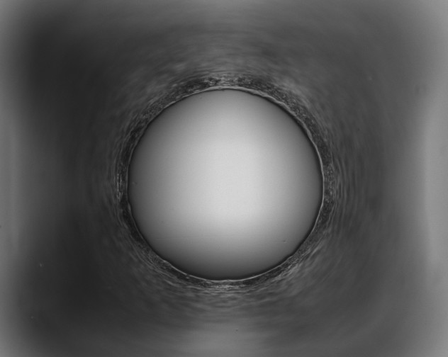 X0000088661253200705250955