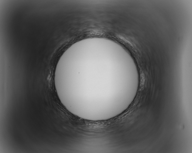 X0000088661254200705250955