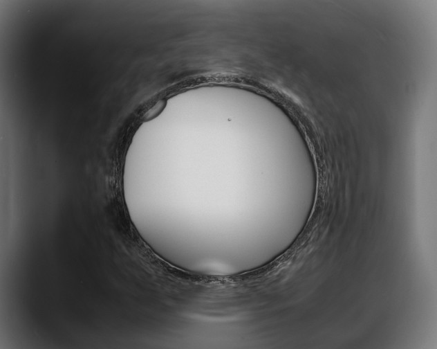 X0000088661255200705250955