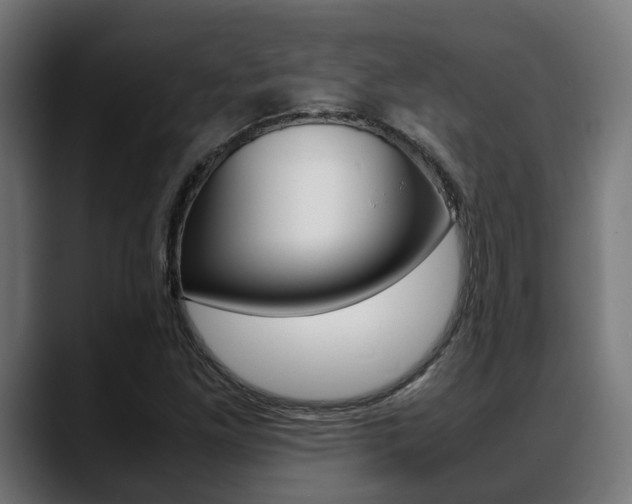 X0000088661261200705250955