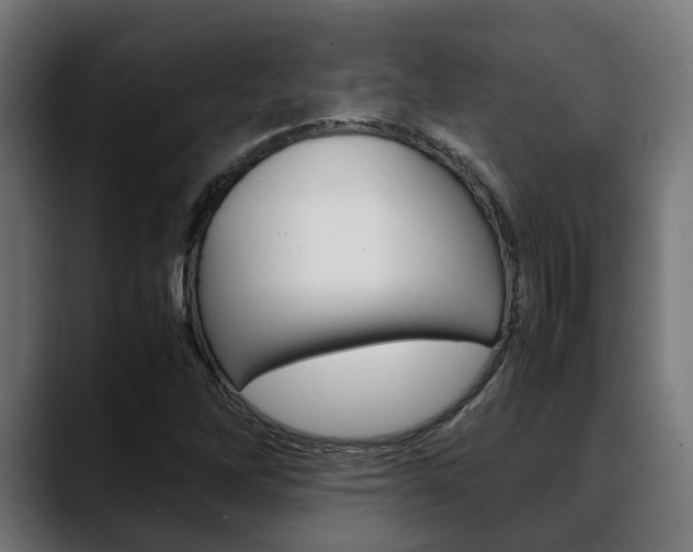 X0000088661262200705250955